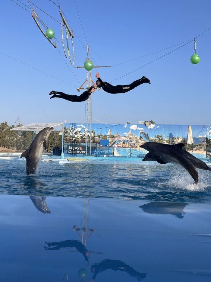 Delfinárium 13