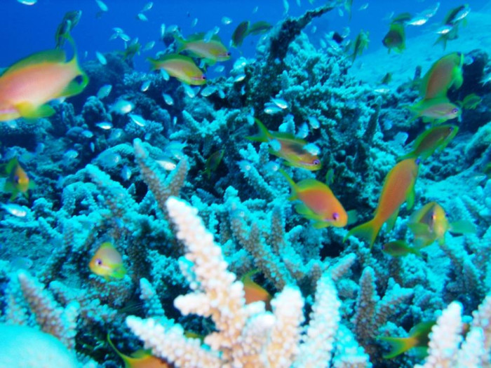 Výlet v Poloponorce 11